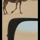 نجران
