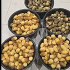 رطب الحوطة