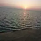 ارض ف الوسقه افضل موقع
