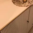 كورنر قهوه
