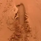 توريد رمل نفود ناعم احمر كميات كبيره