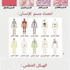 عروض بوربوينت