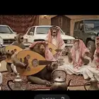 قرد دلوع للبيع