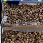 تمر روثانه و فيه ناس يسمونها نبتت علي