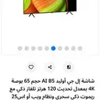 LG OLED B5 65
