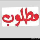 مطلوب شقه مفروشه عزاب