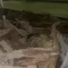 حطب مستورد