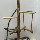 ستاند مجثم للطيور