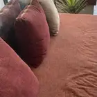 اثاث