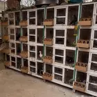 محاكر مستعمله