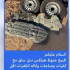 جنوط هيلكس سلق