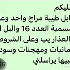 للبيع ابل عمنيات وسودانيات ومهجنات