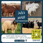 ذبيحتك واصلتك لباب البيت نعيمي و حري