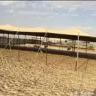 مظلات حلال وإبل