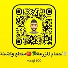 حمام فرنسي