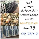 بسم الله مشاء الله وصول نحل يوميا