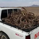 ددسن غماره صند دوق