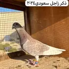 زواجل للبيع