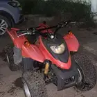 دباب تيواني ادلي مقاس 100