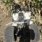 دباب نضيف