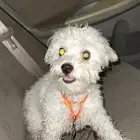 مكه المكرمه