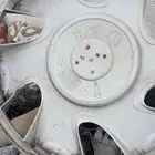 جنوط كادينزا