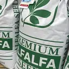 برسيم (alfalfa)