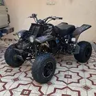 بانشي 2006 لمتد