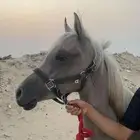 مهره شعبيه فاخره