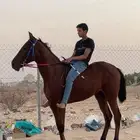 مهر شعبي للبيع