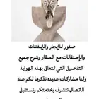 صقور للمناسبات والاحتفالات
