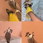 حمام