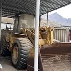 شيول كربتلر