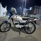 دباب وارد بن ثابت لاصلي