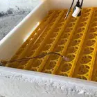 فقاصة للبيع