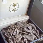 عود كلمنتان محسن بيور