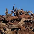 السلام عليكم.دفيت حطب