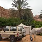 ربع 2006