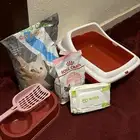 مستلزمات القطط