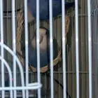 البيع روز اليف ومنتجين قبل