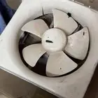 شفاط