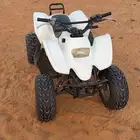 دباب سويدي مقاس 110