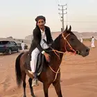 حصان الشتاء