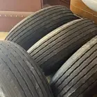 جنوط كويتيات وبوالين