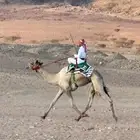 قعود البيع