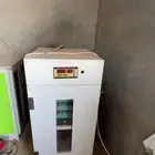 فقاسة تماتيك