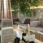 مطلوب ديك اسود صافي اسود شرط كامل