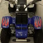 للبيع بانشي