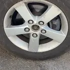 جنوط نجمة للبيع