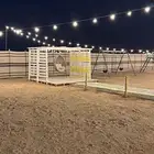 مخيم الوتين .للإجار